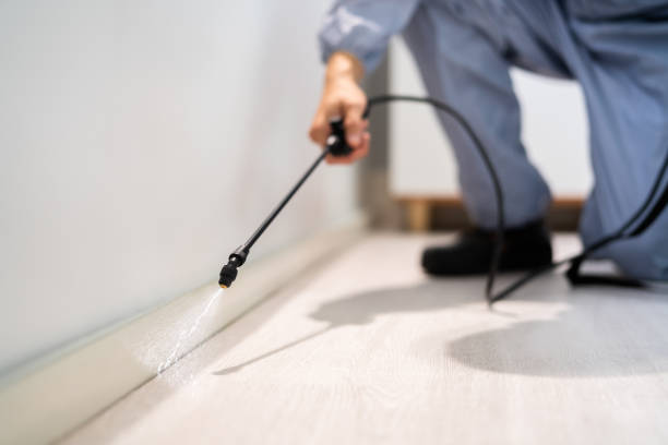 Licensed Pest Control service in Osseo, WI - Show Me Pest Control