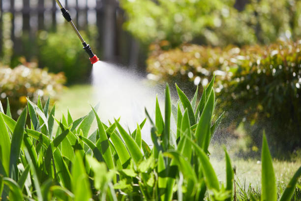 Tamper-Resistant Bait Stations for Rodents in Osseo