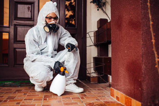 Attic and Crawl Space Rodent Treatment in Osseo