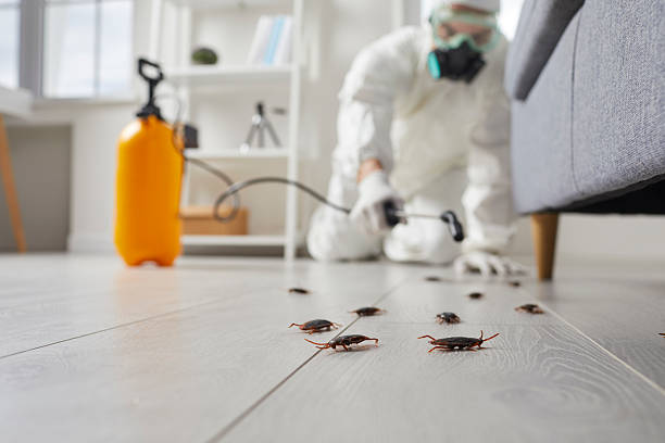 Commercial Rodent Management in Osseo